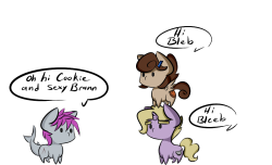 bleedshark:  True spaghetti story from Bronycon 14’ :v Featuring my sexy lovers:Cookie and Brann  wat xD