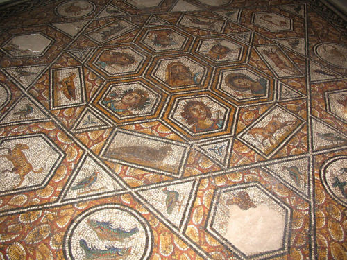 via-appia:Roman mosaic at the Bardo Museum in Tunisia, 2nd century AD