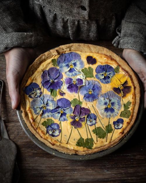 amare-ancora:twiggstudios Ricotta chive and Parmesan cheesecake tart with chive blossom pastry.