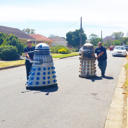 princessparadoxical:Talking the boys for a walk for a photoshoot this morning…… #daleks #doctorwho