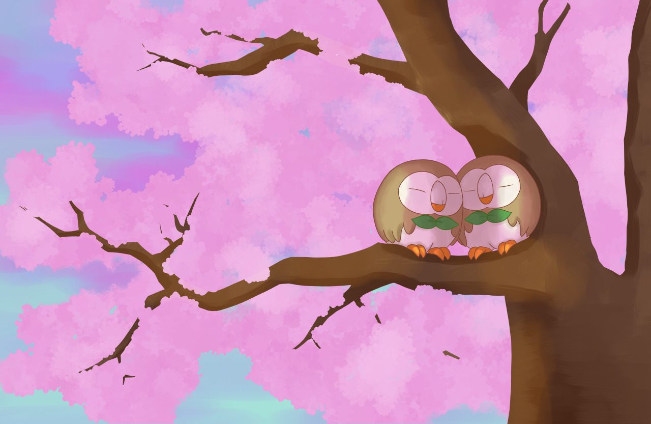 Here are a pair of Rowlets huddling and snuggling together under a cherry blossom treeDo Not Steal #pokemon#rowlet#grasstype#pokemonart#pokemon fanart #Holy Cow I had this collecting dust in my WIP area  #At least I had this done and over with  #Rowlet my babies #fanart