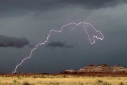 sixpenceee:   Amazing Photo Captures T-Rex