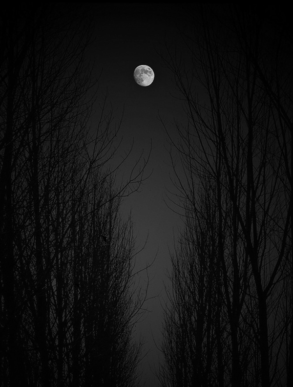 imagenes de luna - Página 3 Tumblr_nx0yzcW5j11u53ezho1_640