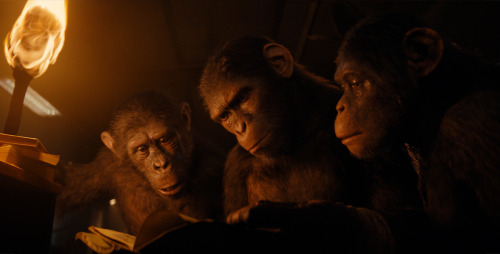 Title: Slippery Slope. Fandom: Kingdom Of The Planet Of The Apes. Rating: T. ( Blood, Intensity…Implications)