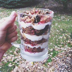 goodhealth-andgoodvibes:  Blackberry banana &amp; pomegranate Greek yogurt parfait with melted peanut butter, cinnamon, agave, chia seeds, and granola. Instagram: goodhealthgoodvibes 