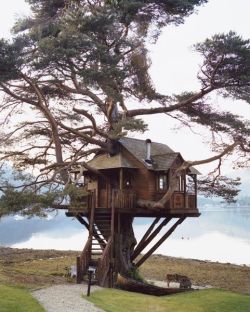 treesnlsds:  coisasdetere:  Treehouse, in Scotland.  this is exactly what i want