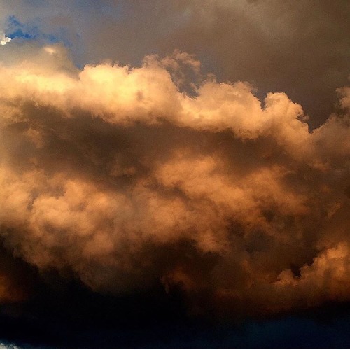 IL CIELO IN UNA STANZA