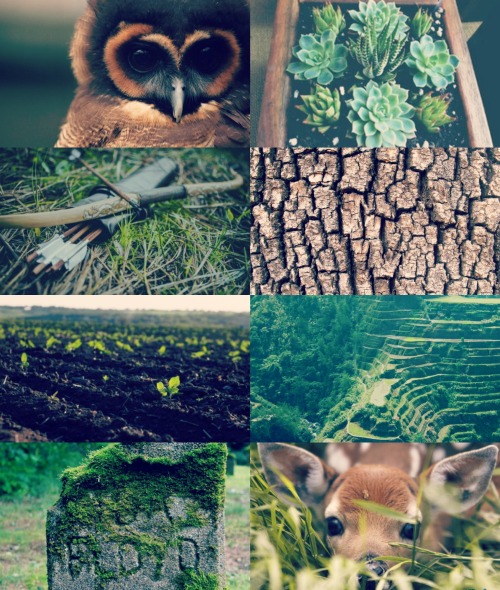 Element Aesthetics: Earth