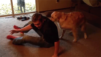sizvideos:  Dog learns to sit ‘n scootVideo
