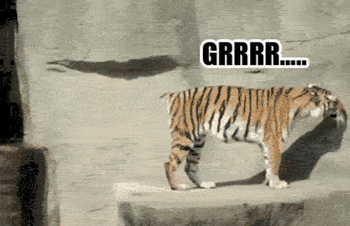 babyanimalsdaily:  Follow Us for More BABY ANIMALS DAILY