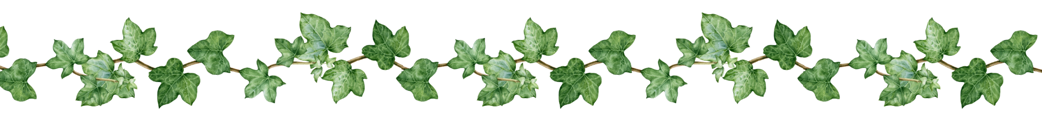 Vine Divider