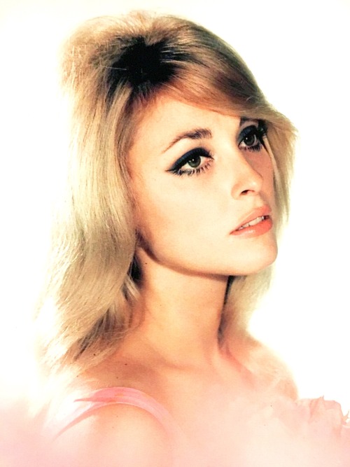 simply-sharon-tate:Sharon Tate, photographed porn pictures