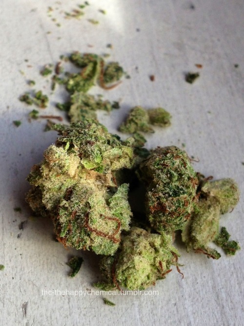 thc-thehappychemical:  Early morning wakenbake c: 