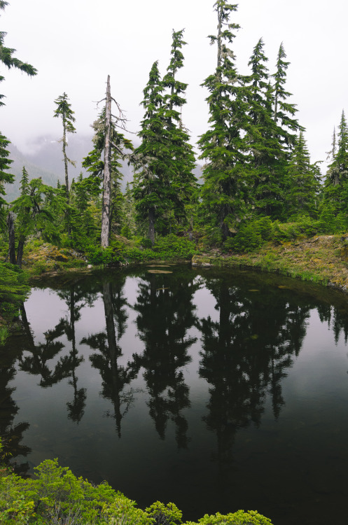 millivedder: Mountain Tarn Prints