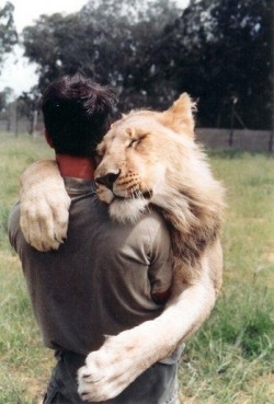 cute-overload:  Huggin a Lion!!http://cute-overload.tumblr.com