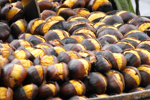 Roasted Chestnuts For Sale, Near Scalinata della Trinità dei Monti (Spanish Steps), Rome, Winter 200