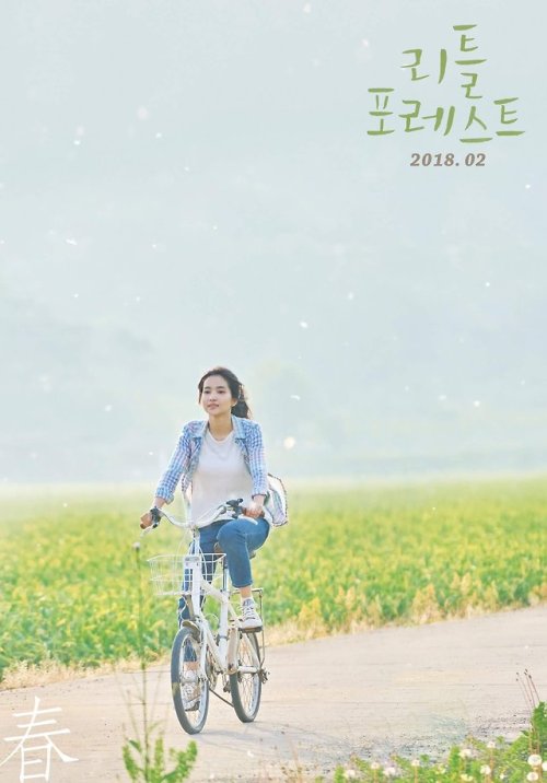 appassionataaa:‘Little Forest’ Seasons Ver. Posters