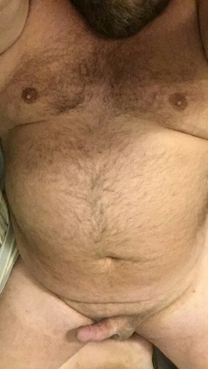 Chub/Bear Check Page