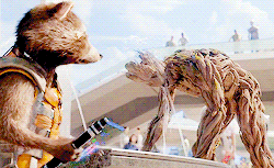 peterpakrers:GET TO KNOW ME MEME: → 1 friendship↳ Rocket Raccoon and Groot