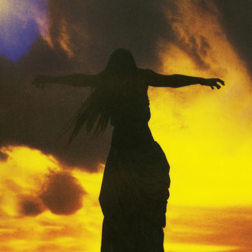 untrustyou:  Neil Krug