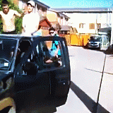 randomweas:  VIRALES 