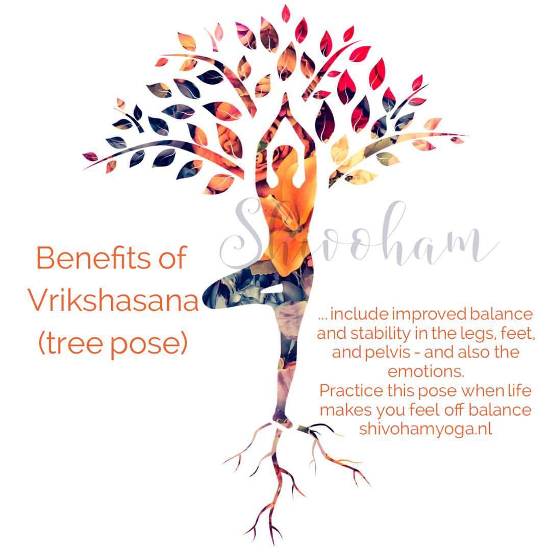 Vrkshasana tree yoga pose [INFOGRPAHIC]