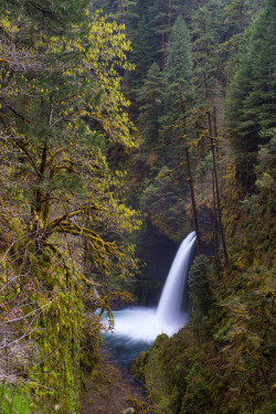 llbwwb:  Metlako Falls by Cibot