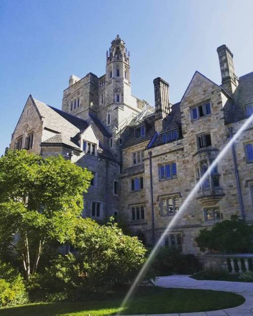 Yale is such a gorgeous school and has an amazingly beautiful campus. @yale • • • #pa