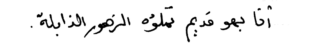 * كَوْزُ الصُنَوْبَر *