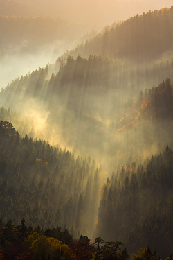 plasmatics-life:  Saxony | Germany ~ By Marcin Jagiellicz  Das ist scön