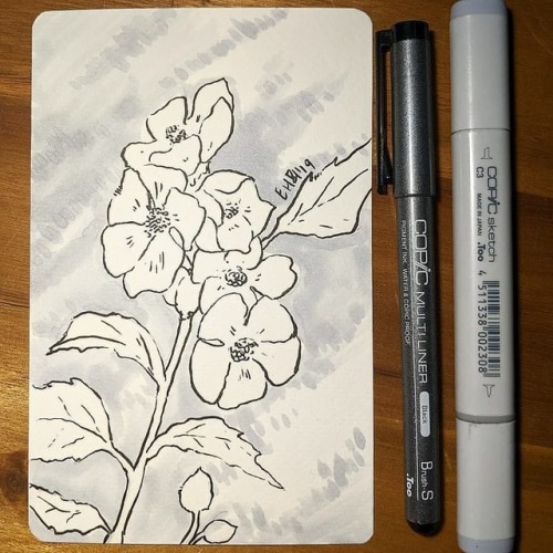 Inktober 3 - Marsh Mallow. For today I used my brush pen despite my hands being much more shaky than