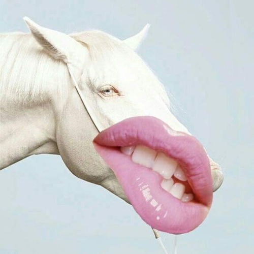[via the absolute PHOTOGRAPHY blog…]