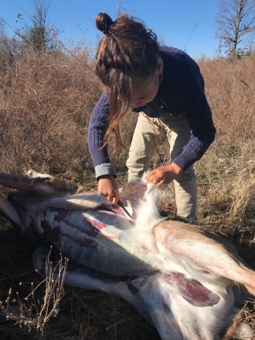 These children are off to a good start. They should be able to move deer from the field to table, al