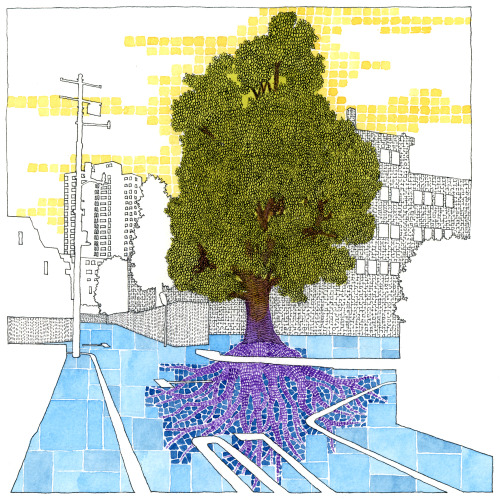 NPO法人地球守　自然読本Vol.2　表紙絵cover drawing for a booklet ”Sizen Dokuhon Vol.2” by Chikyumori(NP