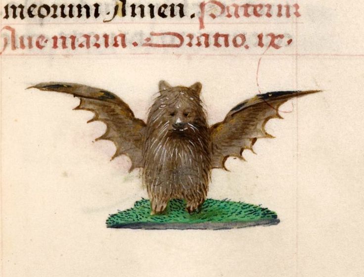 ladymorthanlu:  toloveviceforitself:  sam-u-ella:  dimetrodone:  Medieval bat appreciation