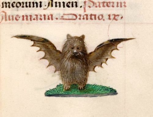 take-me-to-your-lieder: toloveviceforitself: sam-u-ella: dimetrodone: Medieval bat appreciation post