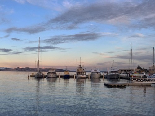 Isn&rsquo;t winter just terrible? Perfect conditions in Hobart this evening. Cheers to the weeke