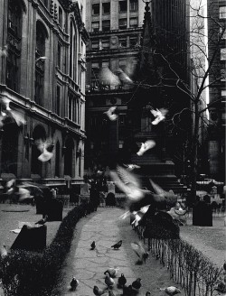 last-picture-show:   Mario de Biasi, New York, 1955 