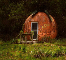 abandonedography:  Found this wonderful old orange juice stand, long closed, on Hwy 441 just about a block and a half north of the intersection with Hwy 46 on the right. My husband tells me they used to sell all the OJ you could drink for 10 cents at