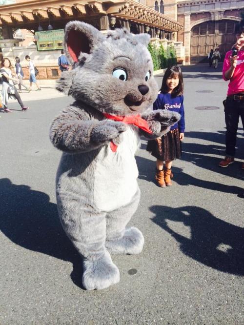 Tokyo Disney Resort exclusive character Berlioz is now available for meet and greet! This started a 