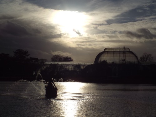 Research - Trip to Kew Gardens, looking for inspiration for the menagerie and glass domes in which L