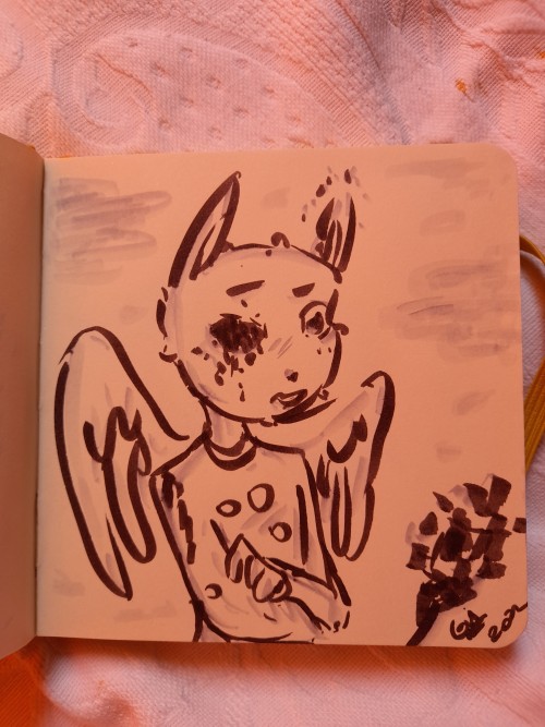 New Sketchbook
