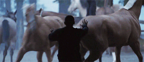 gyllenhawl-blog:  Foxcatcher (2014) dir. Bennet Miller 