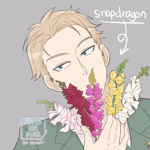 day 2 of twiyorweek : flowers snapdragon = graciousness and strength. Its negative connotations incl