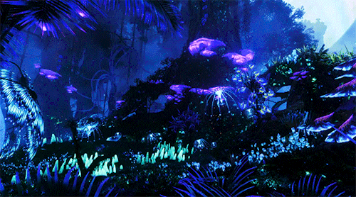 Would Stardust Fix Us?| Neteyam X Avatar!reader