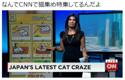 tkr:  まささんはTwitterを使っています: “なんでＣＮＮで猫集め特集してるんだよ http://t.co/HgMRfhpXWO”