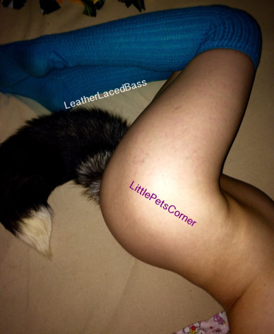 Tail plugs and fox tails