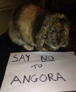 Zara, you’ve made Booboo very sad with your poor excuses for the continuation of rabbit cruelty. Stop now!