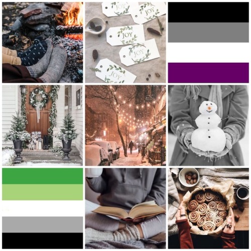 Aro-Ace Cozy Holiday Moodboard for Anonymous