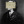 classic-literatures-btch:Same, Mr Wilde… same